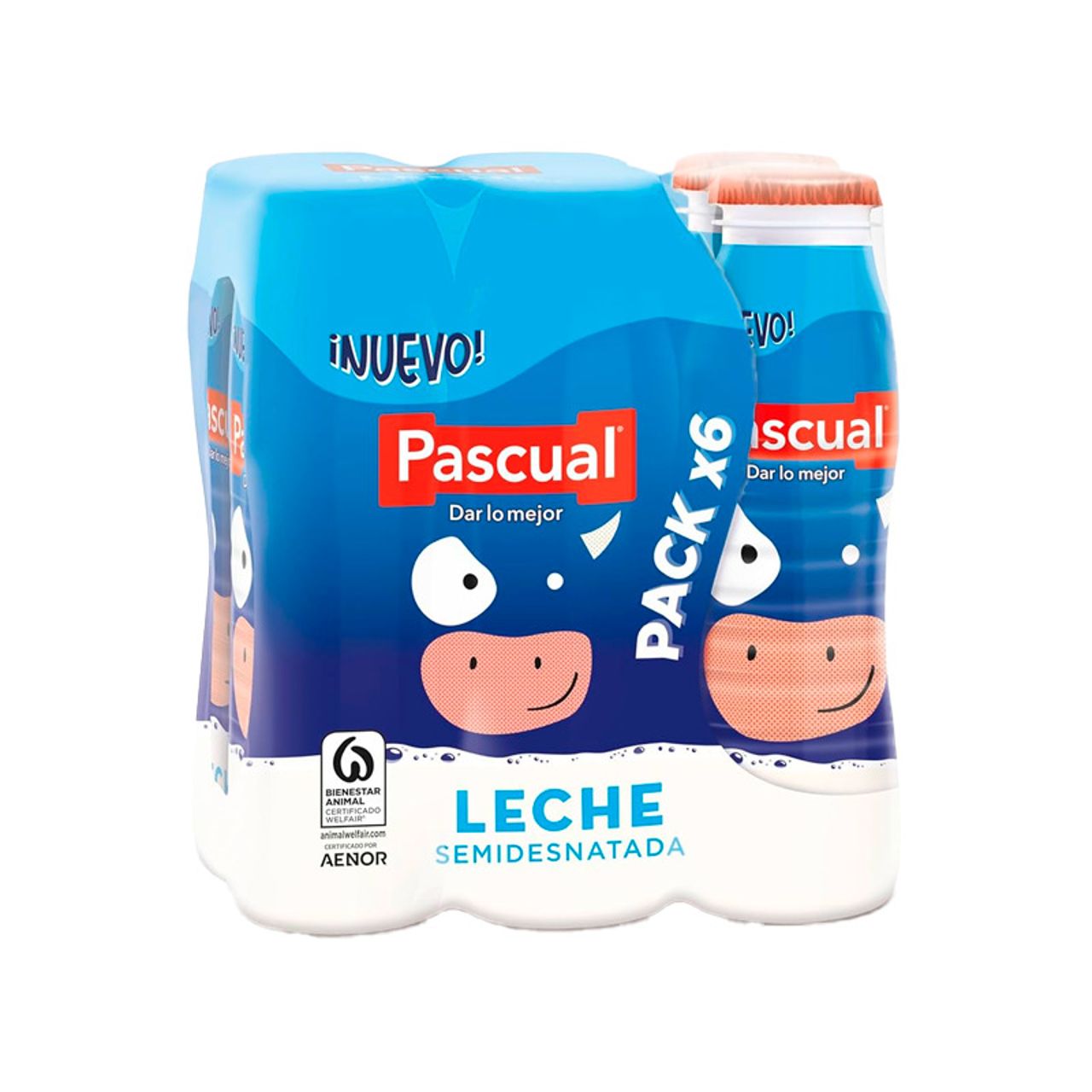 36758 PASCUAL LECHE SEMIDESNATADA 6 x 188ML